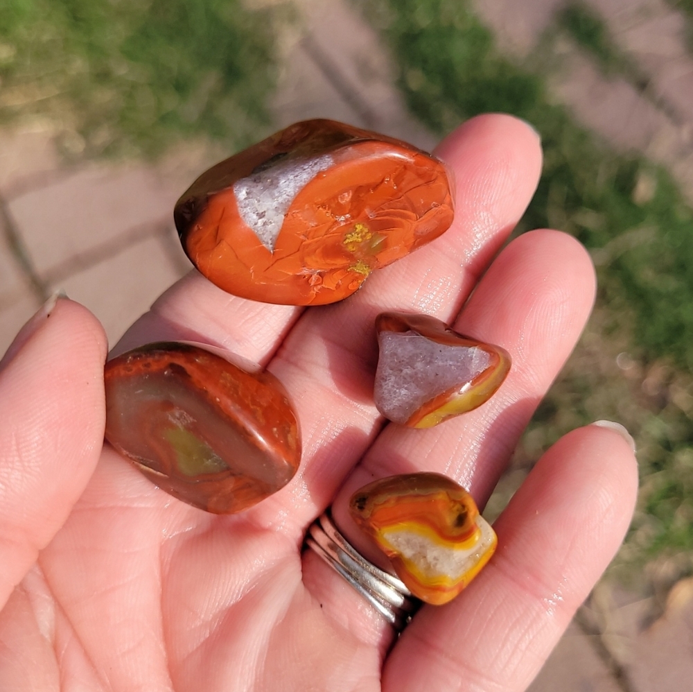 Assorted Jasper/Agate 10 Piece Bundle - image 6